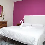 El Olivar Agloipe -tr-cc-00517-