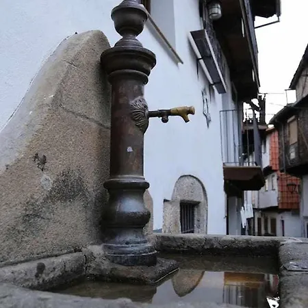 El Olivar Agloipe -tr-cc-00517- * Ahigal