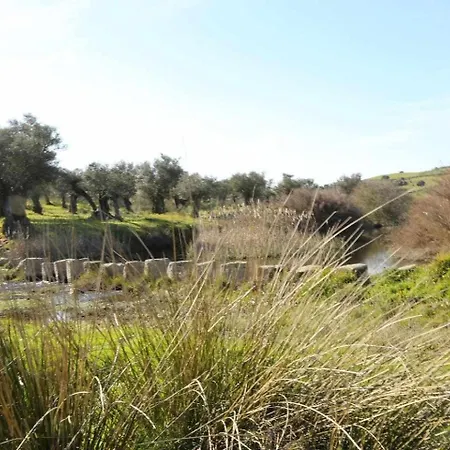 El Olivar Agloipe -tr-cc-00517- *