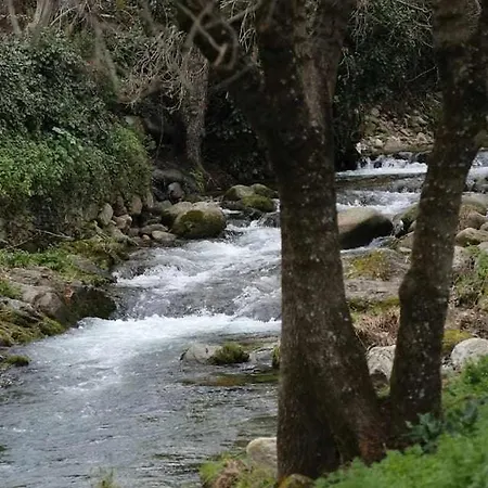 Сasa de vacaciones El Olivar Agloipe Extremadura Ahigal