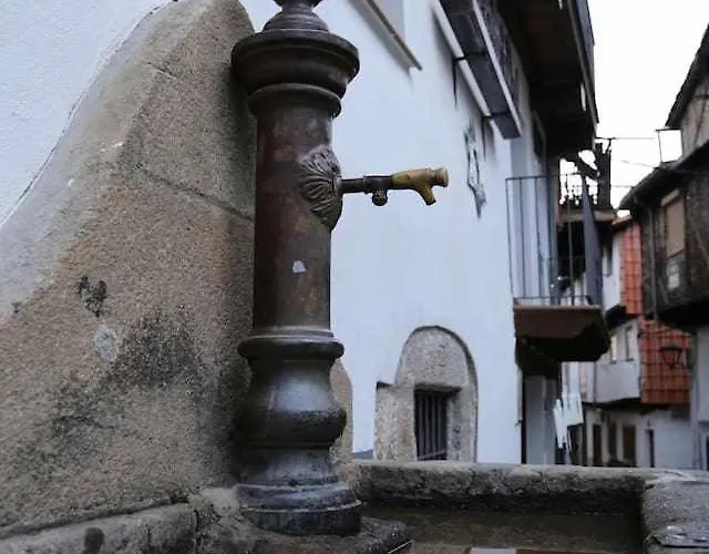 El Olivar Agloipe -tr-cc-00517- * Аигаль