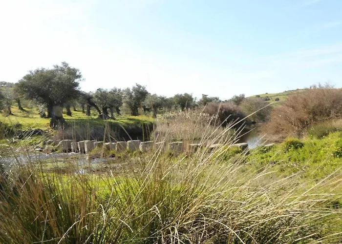 El Olivar Agloipe -tr-cc-00517- *