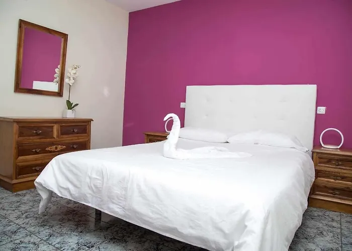 El Olivar Agloipe -tr-cc-00517-